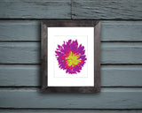 Art Print of an abstract and energetic purple and green flower in a black frame and white matte called Bloom by Loud Hue