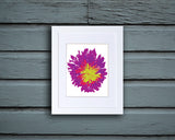 Art Print of an abstract and energetic purple and green flower in a white frame called Bloom by Loud Hue