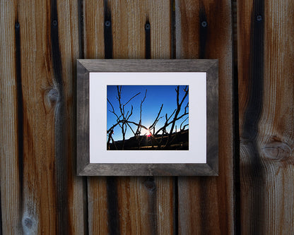 Nature photography print of the winter sun reflecting light through bare tree branches shown with a black frame called Light by Loud Hue