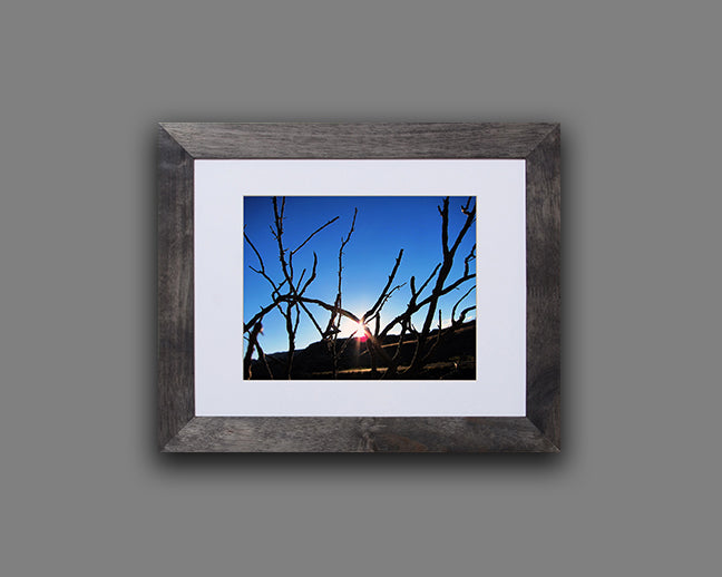 Nature photography print of the winter sun reflecting light through bare tree branches shown with a black frame on a gray wall called Light by Loud Hue