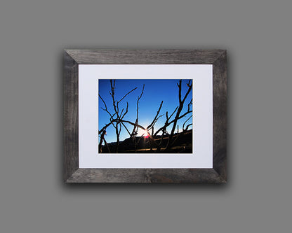 Nature photography print of the winter sun reflecting light through bare tree branches shown with a black frame on a gray wall called Light by Loud Hue