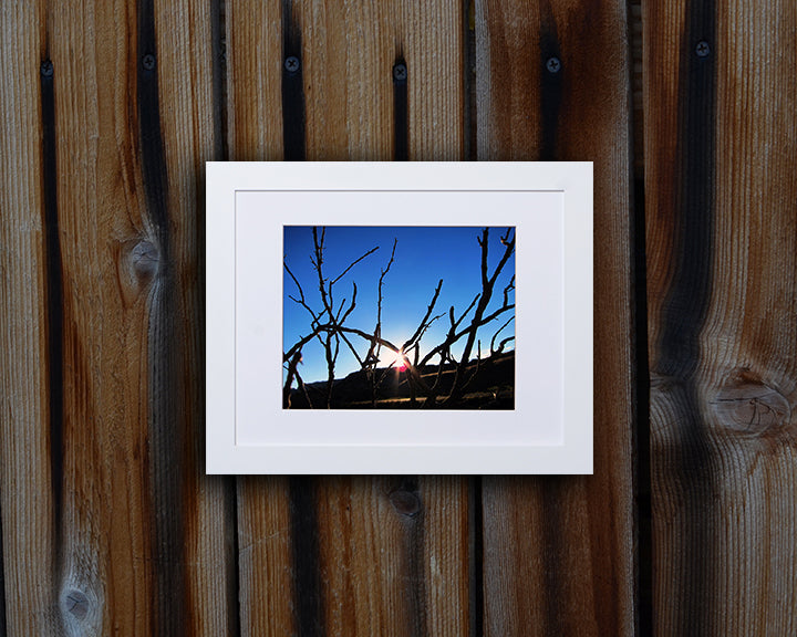 Nature photography print of the winter sun reflecting light through bare tree branches shown with a white frame called Light by Loud Hue