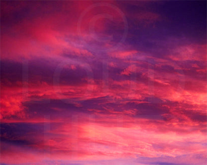 Nature photography print of a gorgeous sunset with vivid hues of violet and fuchsia called Rose by Loud Hue