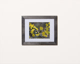 Nature photography print of bright yellow aspen leaves with black frame called Aspen by Loud Hue
