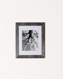 Black and white nature photography print of an upside down tree with black frame called Down by Loud Hue