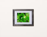 Nature photography print of bright green leaves called Green with black frame by Loud Hue