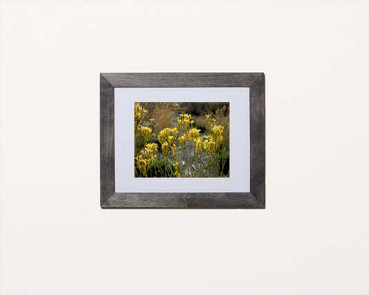 Nature photography print of beautiful tranquil yellow wildflowers shown with a black frame called Yellow by Loud Hue
